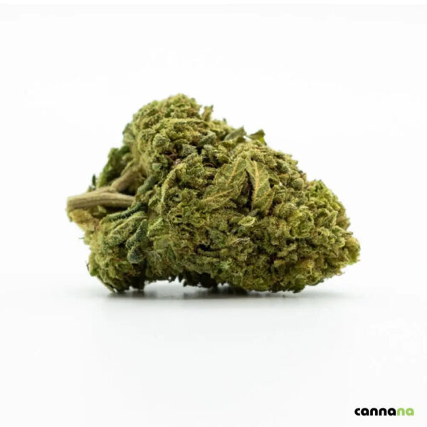 Blue_Dream_CBG9.jpg 🌚 Blue Dream CBG9 40 %