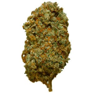 Dublin-Lava-CBD-Bud-from-123CBD-300x300-1.jpg Dublin Lava CBD Flower
