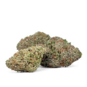 Jack-Herer-300x300-1.jpg Jack Herer