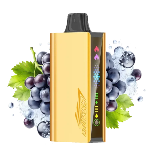 imgi_5_grape-ice-jnr-cruiser.webp JNR 1 Cruise Grape Ice